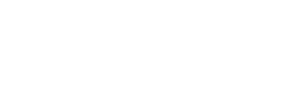Wellness Dental Logo White